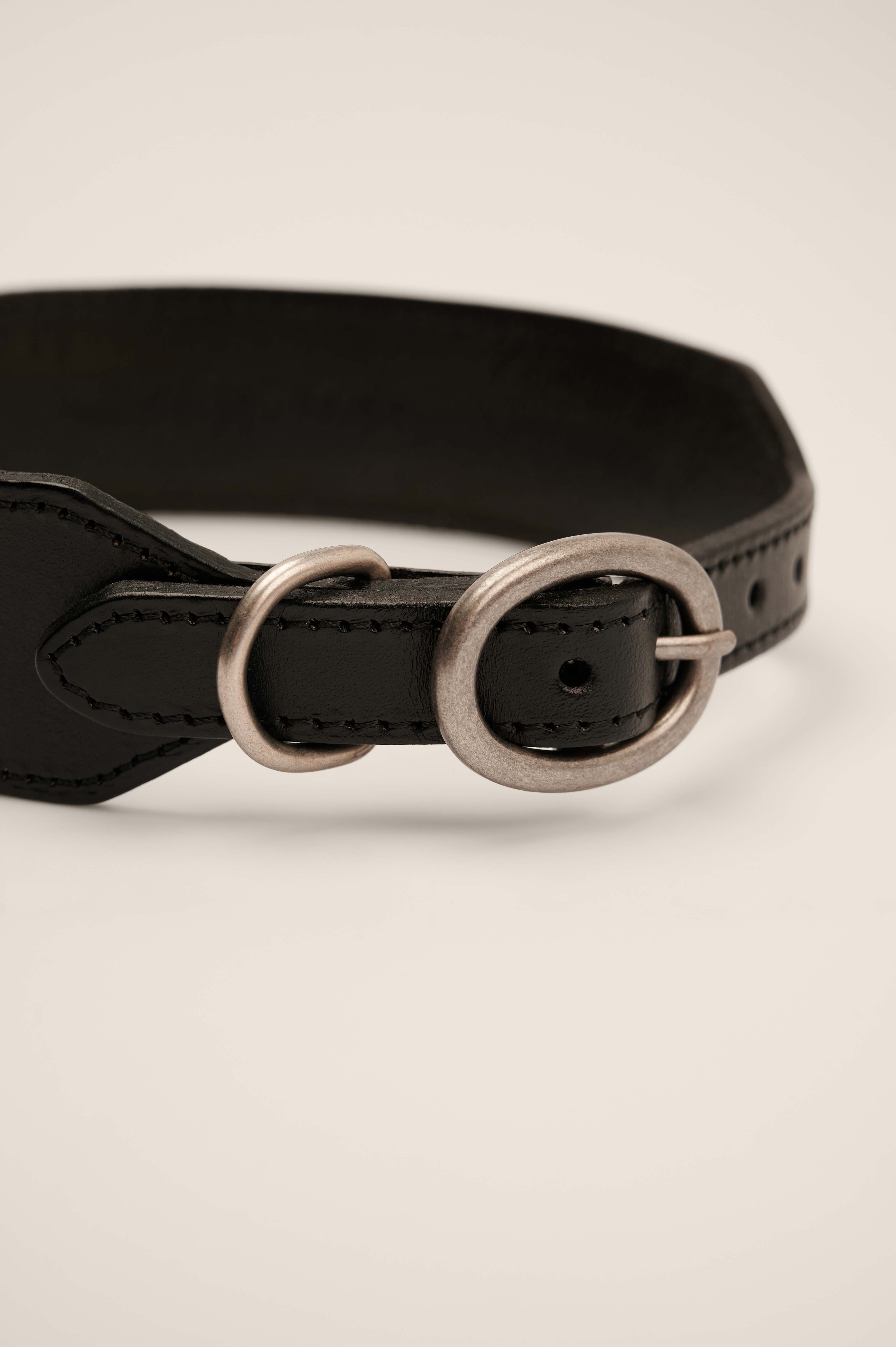 ferragamo dog collar