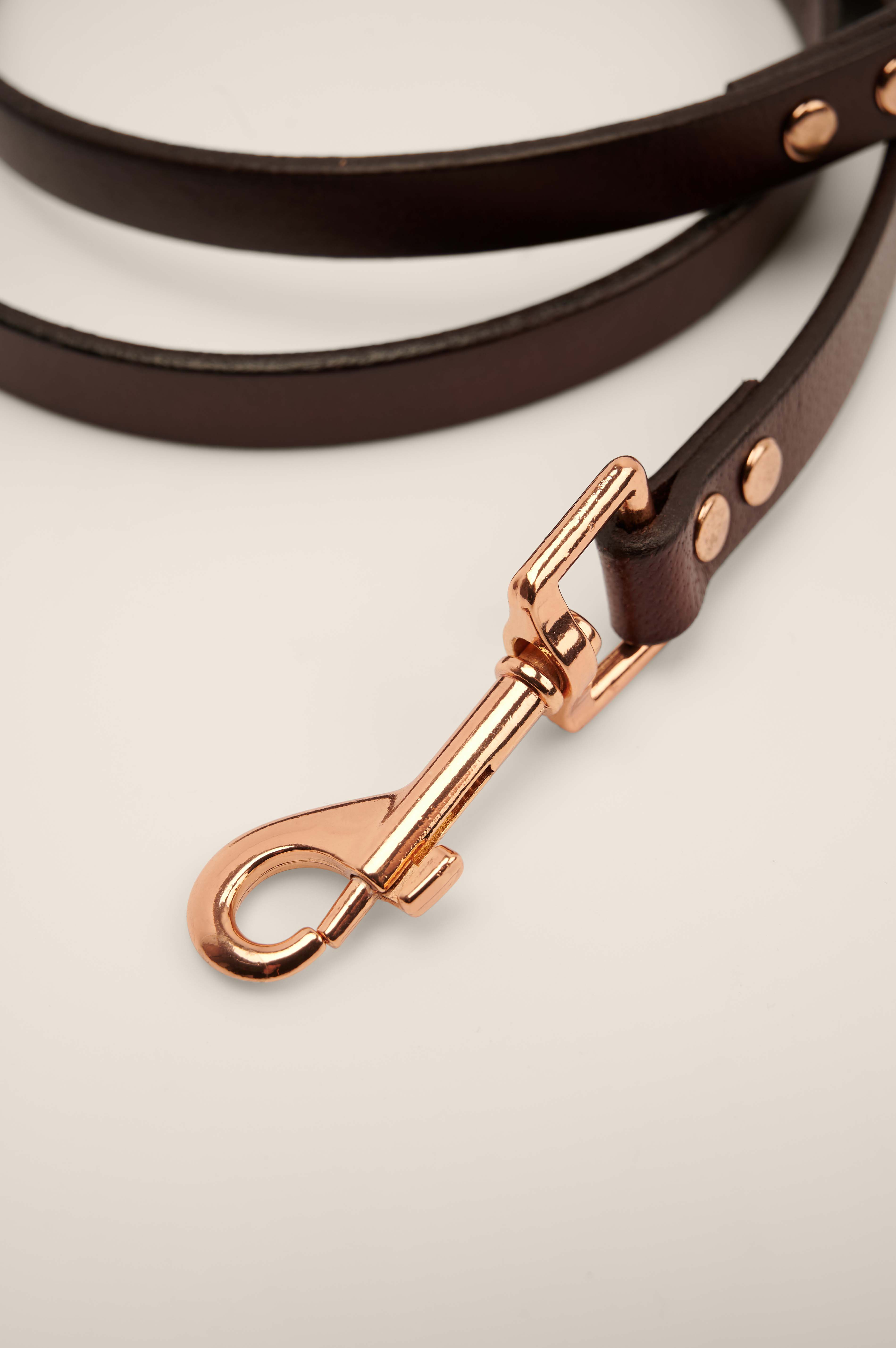 leather dog leash
